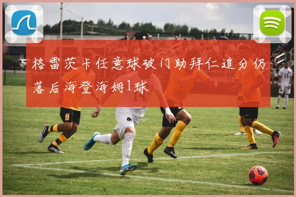 格雷茨卡任意球破门助拜仁追分仍落后海登海姆1球