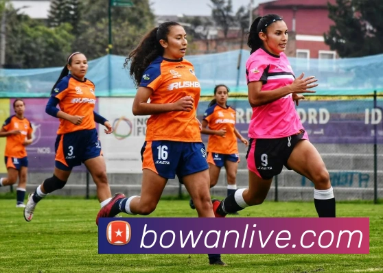 博万体育品牌故事